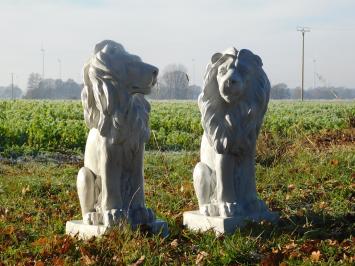 Set mooie leeuwen, links en rechts kijkend.