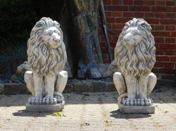 Set Leeuwen - Links & Rechts - Vol Steen