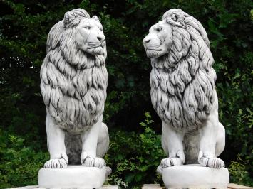 Set Leeuwen XXL - 135 cm - Wit met Donkere accenten