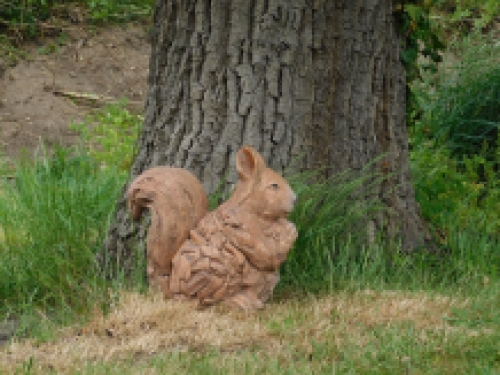 Eichhötnschen XL - Holzoptik - Polystone - wetterfest.