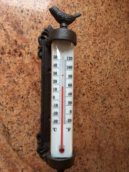 Kozijnthermometer met vogel - gietijzer - weerbestendig