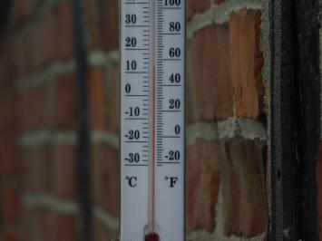 Thermometer met Franse lelie - gietijzer - kozijnthermometer - weerbestendig