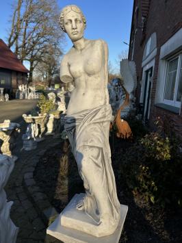 Tuinbeeld Milo - Welbekend Sculptuur - Stenen Beeld