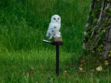 Gartenstab Eule - Polystone mit Solarbeleuchtung