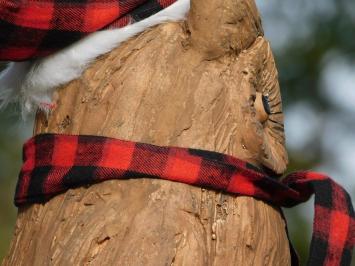 Weihnachtseule auf Baumstamm - Polystone - Woodlook