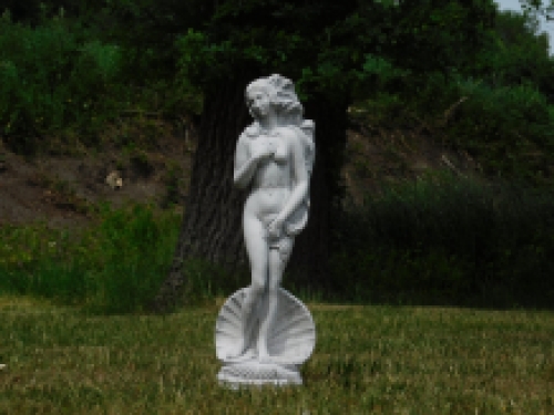 Beeld Venus Aphrodite - vol steen - weerbestendig