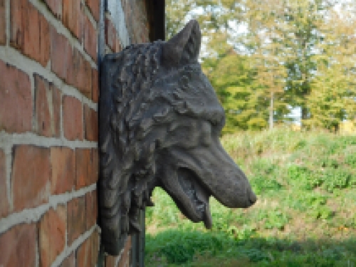 Grote wolvenkop, zeer mooi in uitdrukking, polystein