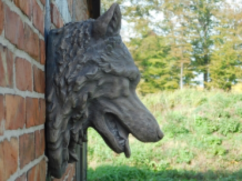 Großer Wolfskopf, sehr schöner Ausdruck, Polystein