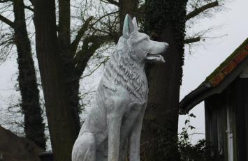 Beeld Herdershond XL - 80 cm - Steen